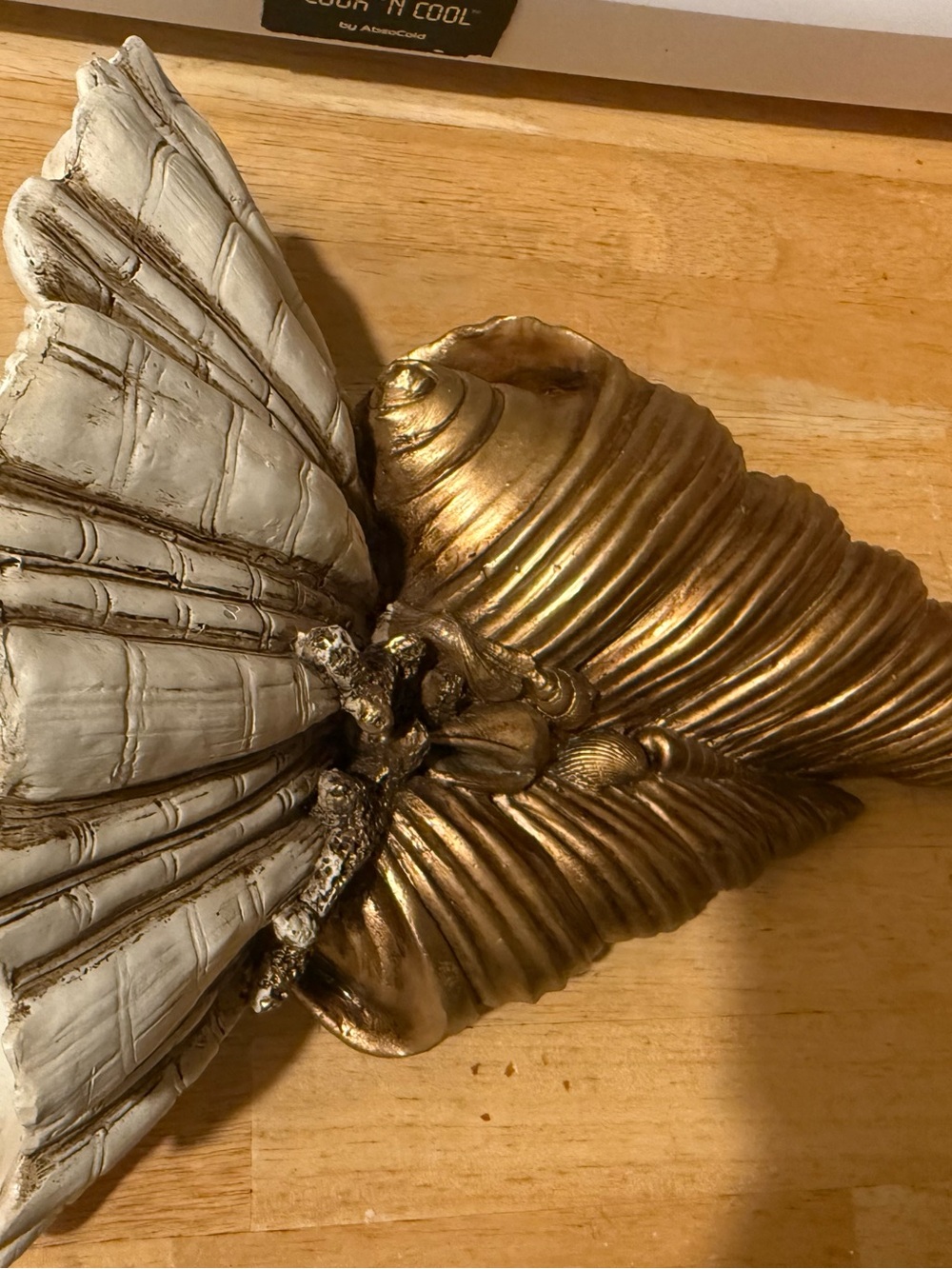 Decorative Shell Wall Accent - Gold and White